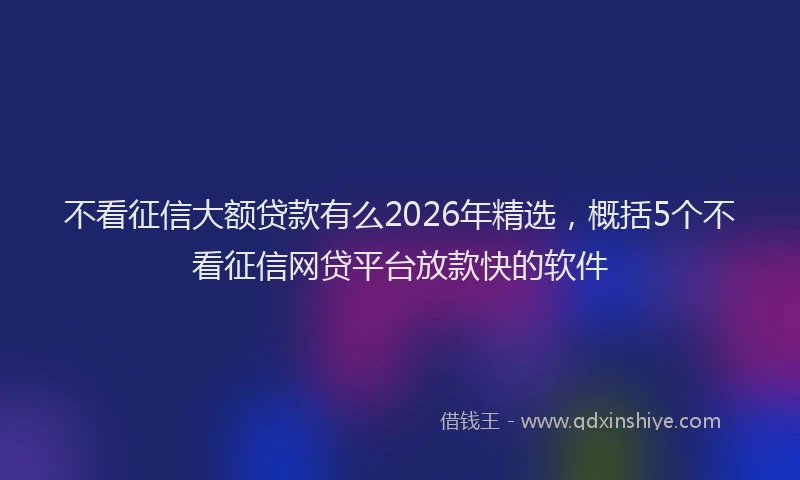 不看征信大额贷款有么2026年精选，概括5个不看征信网贷平台放款快的软件
