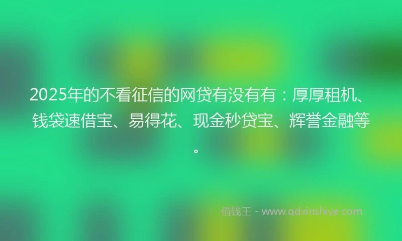 2025年的不看征信的网贷有没有有：厚厚租机、钱袋速借宝、易得花、现金秒贷宝、辉誉金融等。