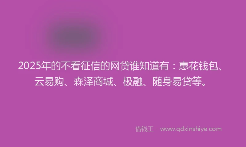 2025年的不看征信的网贷谁知道有：惠花钱包、云易购、森泽商城、极融、随身易贷等。
