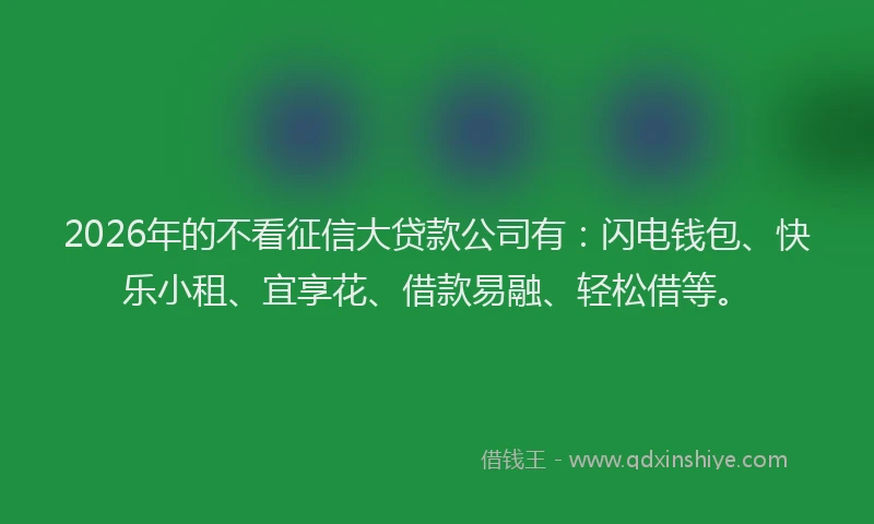 2026年的不看征信大贷款公司有：闪电钱包、快乐小租、宜享花、借款易融、轻松借等。