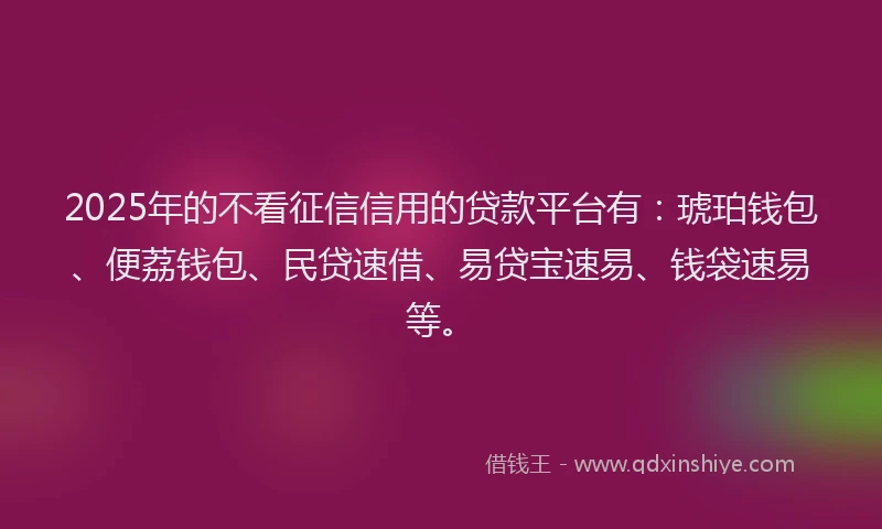 2025年的不看征信信用的贷款平台有:琥珀钱包、便荔钱包、民贷速借、易贷宝速易、钱袋速易等。