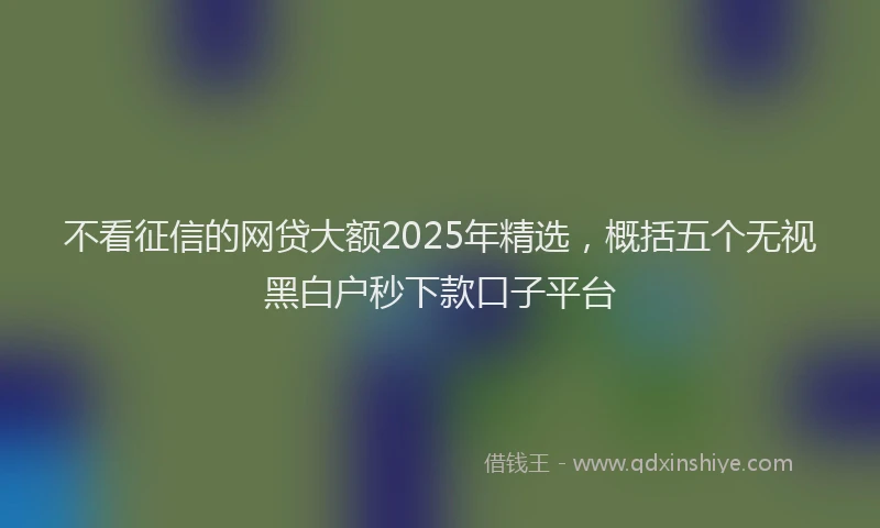 不看征信的网贷大额2025年精选，概括五个无视黑白户秒下款口子平台