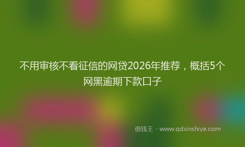不用审核不看征信的网贷2026年推荐，概括5个网黑逾期下款口子