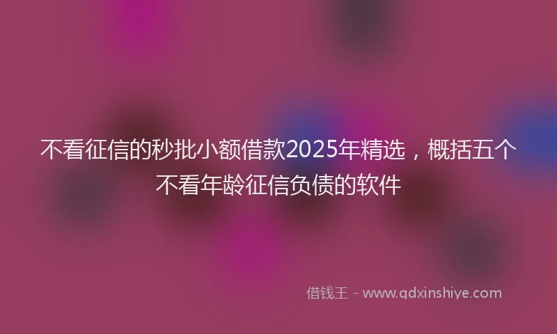 不看征信的秒批小额借款2025年精选，概括五个不看年龄征信负债的软件
