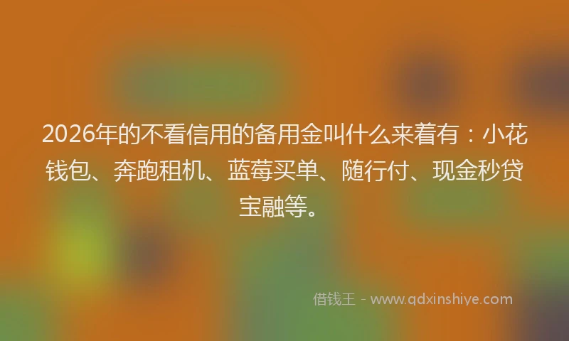 2026年的不看信用的备用金叫什么来着有：小花钱包、奔跑租机、蓝莓买单、随行付、现金秒贷宝融等。