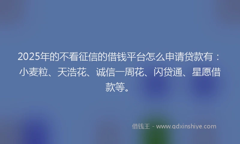 2025年的不看征信的借钱平台怎么申请贷款有:小麦粒、天浩花、诚信一周花、闪贷通、星愿借款等。