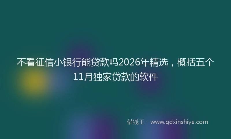 不看征信小银行能贷款吗2026年精选，概括五个11月独家贷款的软件