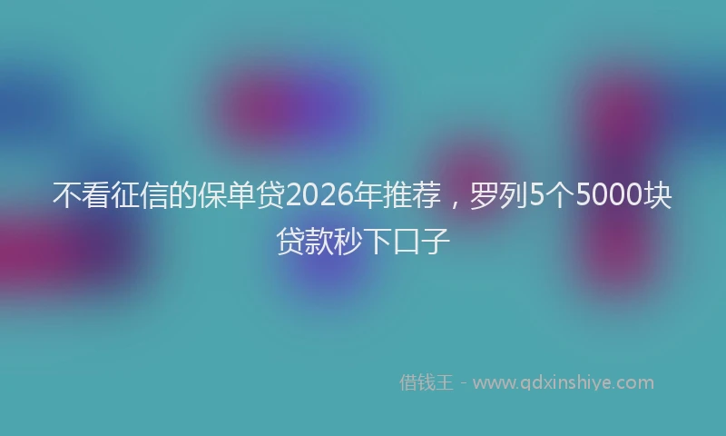 不看征信的保单贷2026年推荐，罗列5个5000块贷款秒下口子