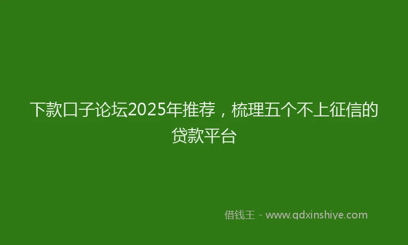下款口子论坛2025年推荐，梳理五个不上征信的贷款平台