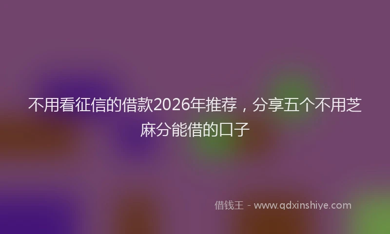 不用看征信的借款2026年推荐，分享五个不用芝麻分能借的口子