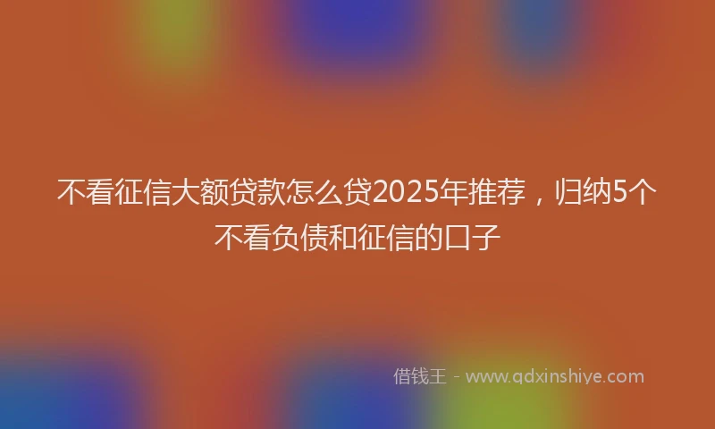 不看征信大额贷款怎么贷2025年推荐，归纳5个不看负债和征信的口子