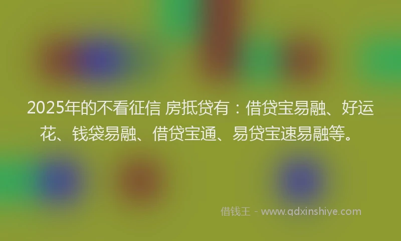2025年的不看征信 房抵贷有：借贷宝易融、好运花、钱袋易融、借贷宝通、易贷宝速易融等。