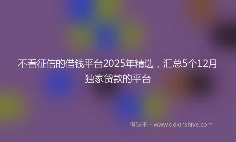 不看征信的借钱平台2025年精选，汇总5个12月独家贷款的平台