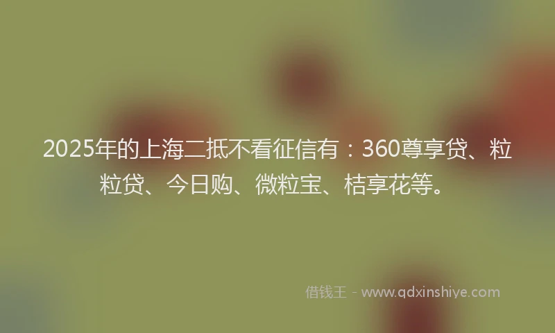 2025年的上海二抵不看征信有：360尊享贷、粒粒贷、今日购、微粒宝、桔享花等。