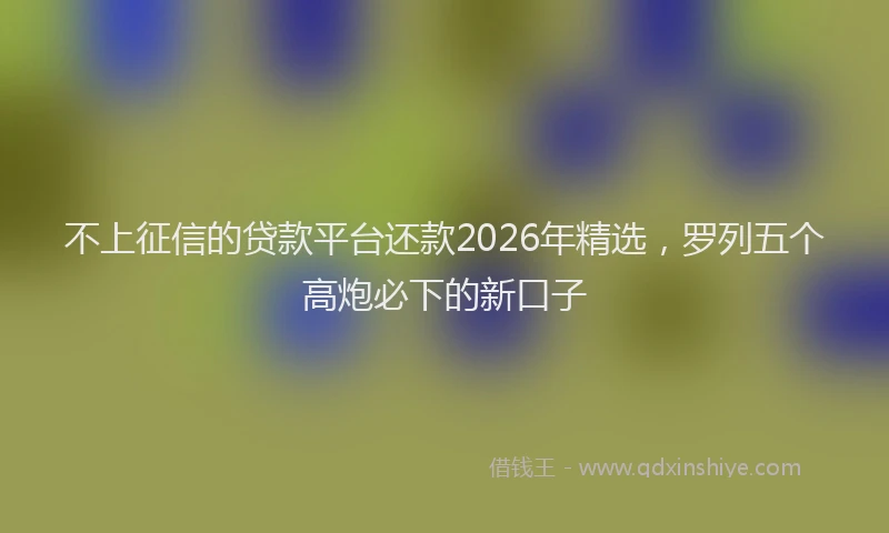 不上征信的贷款平台还款2026年精选，罗列五个高炮必下的新口子