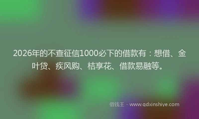 2026年的不查征信1000必下的借款有：想借、金叶贷、疾风购、桔享花、借款易融等。