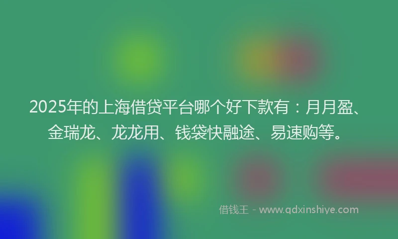 2025年的上海借贷平台哪个好下款有：月月盈、金瑞龙、龙龙用、钱袋快融途、易速购等。