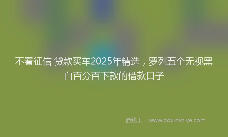 不看征信 贷款买车2025年精选，罗列五个无视黑白百分百下款的借款口子