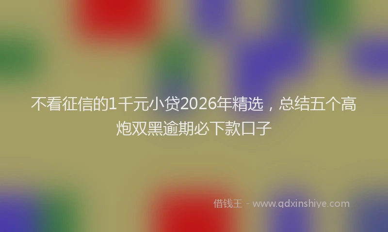 不看征信的1千元小贷2026年精选，总结五个高炮双黑逾期必下款口子