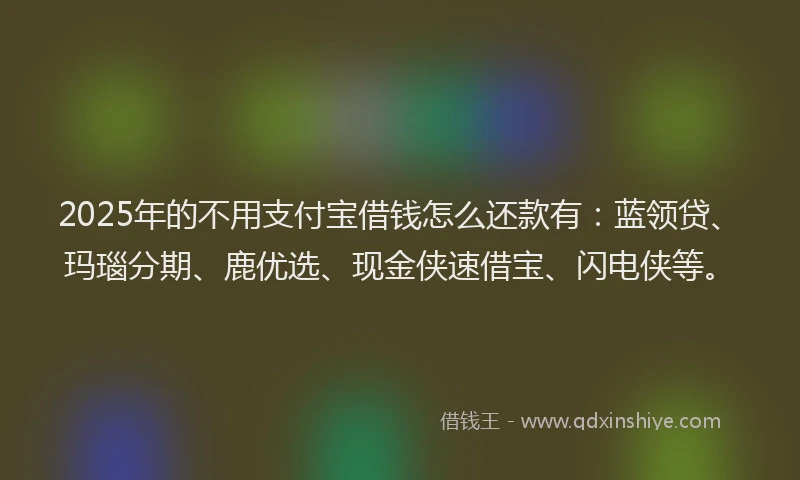 2025年的不用支付宝借钱怎么还款有：蓝领贷、玛瑙分期、鹿优选、现金侠速借宝、闪电侠等。