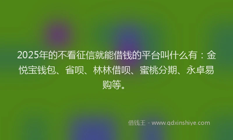 2025年的不看征信就能借钱的平台叫什么有：金悦宝钱包、省呗、林林借呗、蜜桃分期、永卓易购等。