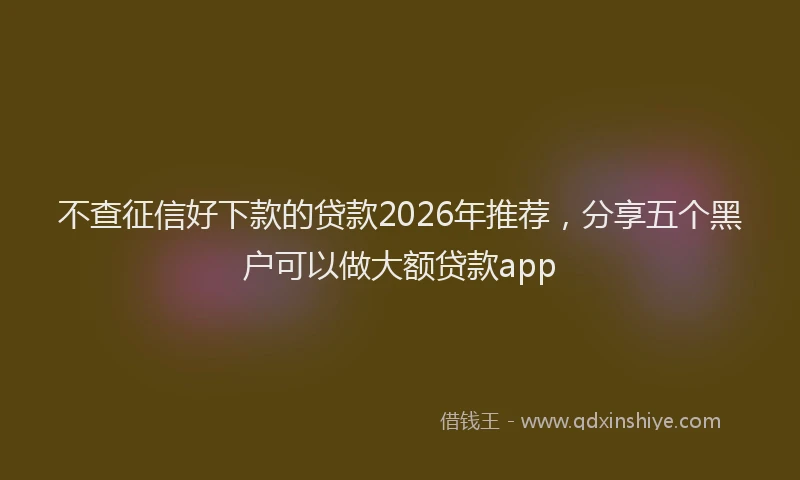 不查征信好下款的贷款2026年推荐，分享五个黑户可以做大额贷款app