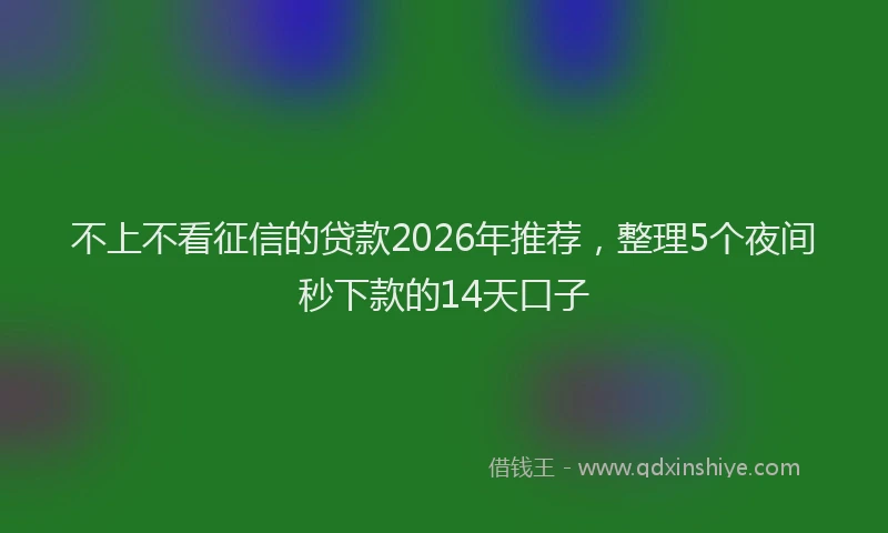 不上不看征信的贷款2026年推荐,整理5个夜间秒下款的14天口子