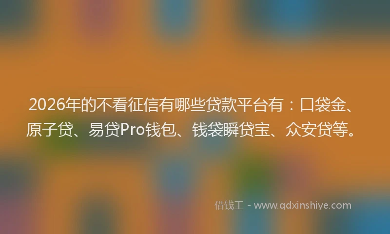 2026年的不看征信有哪些贷款平台有：口袋金、原子贷、易贷Pro钱包、钱袋瞬贷宝、众安贷等。