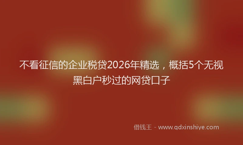 不看征信的企业税贷2026年精选，概括5个无视黑白户秒过的网贷口子