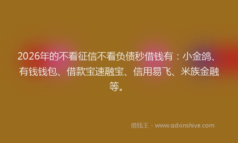 2026年的不看征信不看负债秒借钱有:小金鸽、有钱钱包、借款宝速融宝、信用易飞、米族金融等。