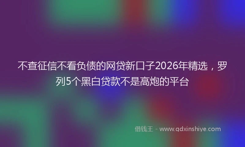不查征信不看负债的网贷新口子2026年精选，罗列5个黑白贷款不是高炮的平台