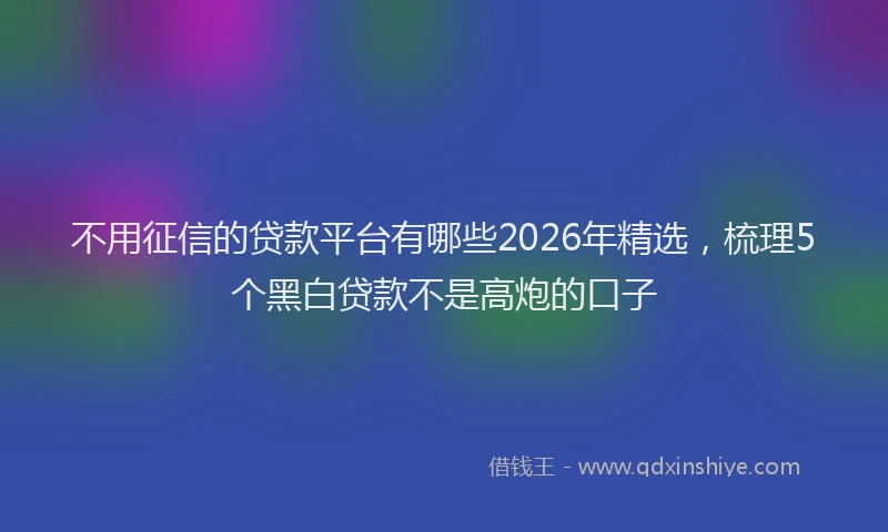 不用征信的贷款平台有哪些2026年精选，梳理5个黑白贷款不是高炮的口子