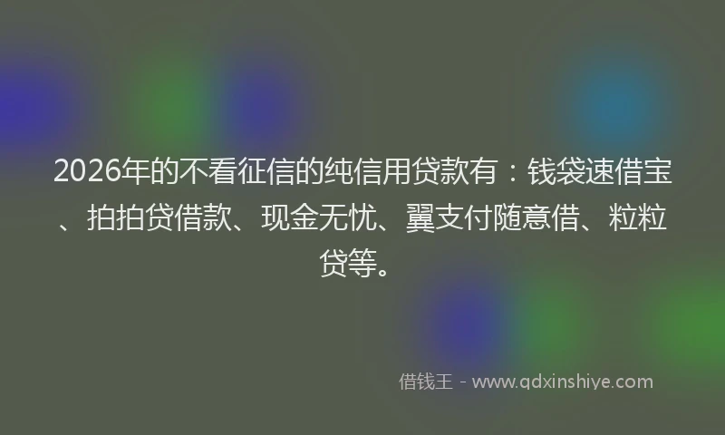 2026年的不看征信的纯信用贷款有：钱袋速借宝、拍拍贷借款、现金无忧、翼支付随意借、粒粒贷等。