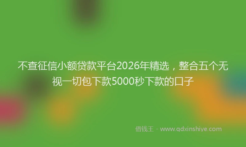 不查征信小额贷款平台2026年精选，整合五个无视一切包下款5000秒下款的口子