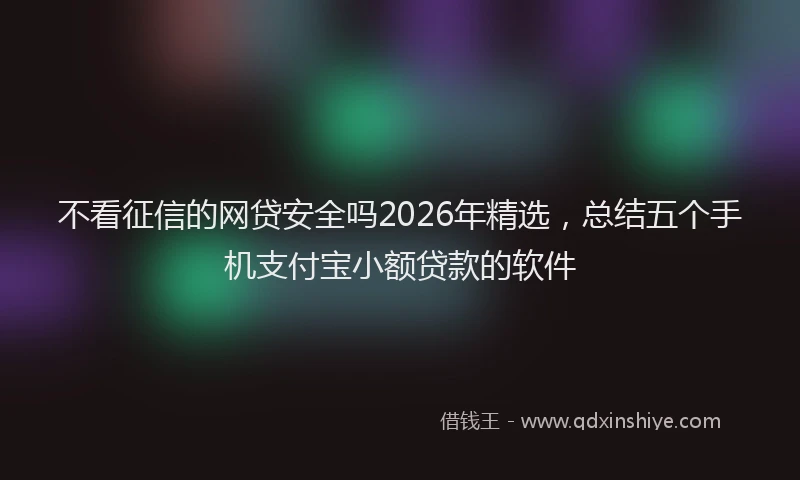 不看征信的网贷安全吗2026年精选，总结五个手机支付宝小额贷款的软件