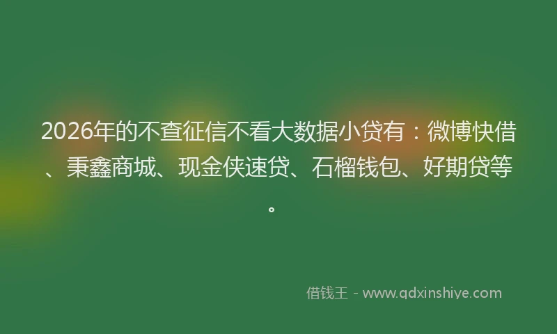 2026年的不查征信不看大数据小贷有：微博快借、秉鑫商城、现金侠速贷、石榴钱包、好期贷等。