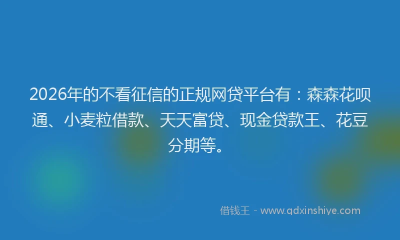 2026年的不看征信的正规网贷平台有：森森花呗通、小麦粒借款、天天富贷、现金贷款王、花豆分期等。