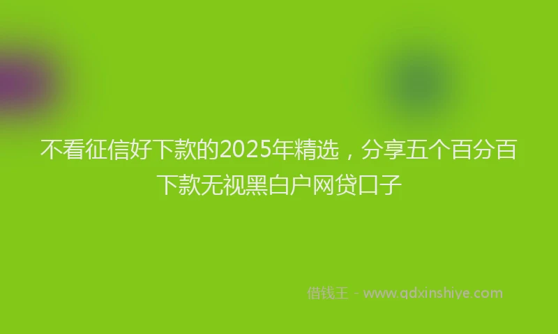 不看征信好下款的2025年精选，分享五个百分百下款无视黑白户网贷口子
