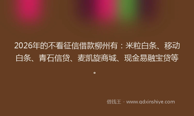 2026年的不看征信借款柳州有：米粒白条、移动白条、青石信贷、麦凯旋商城、现金易融宝贷等。