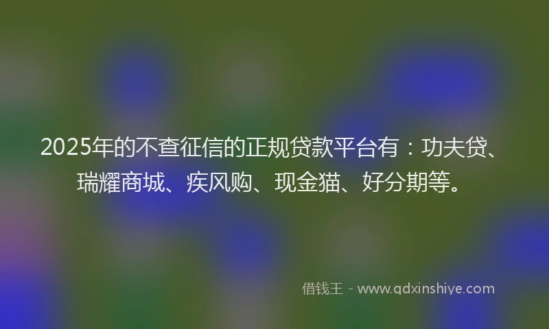 2025年的不查征信的正规贷款平台有：功夫贷、瑞耀商城、疾风购、现金猫、好分期等。