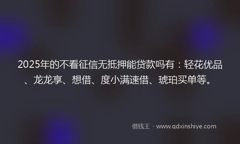 2025年的不看征信无抵押能贷款吗有：轻花优品、龙龙享、想借、度小满速借、琥珀买单等。
