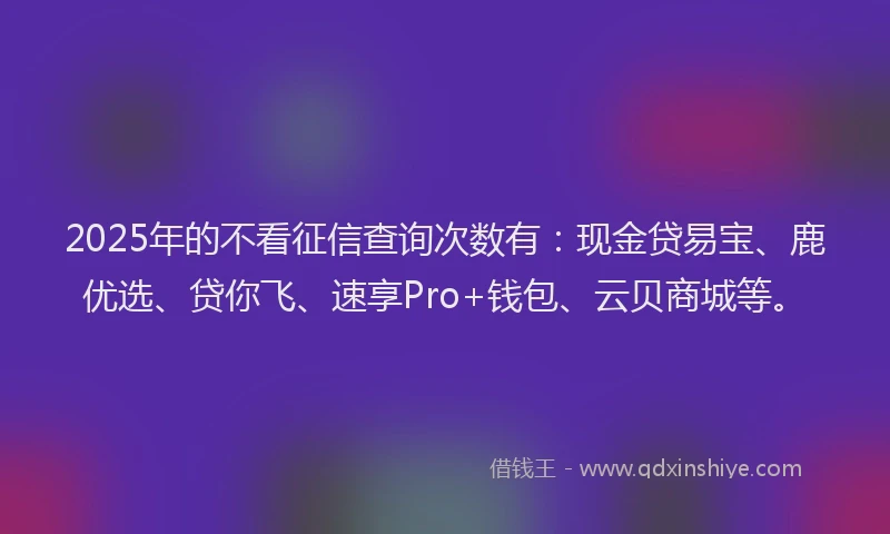 2025年的不看征信查询次数有：现金贷易宝、鹿优选、贷你飞、速享Pro+钱包、云贝商城等。