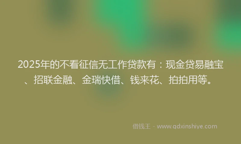 2025年的不看征信无工作贷款有：现金贷易融宝、招联金融、金瑞快借、钱来花、拍拍用等。