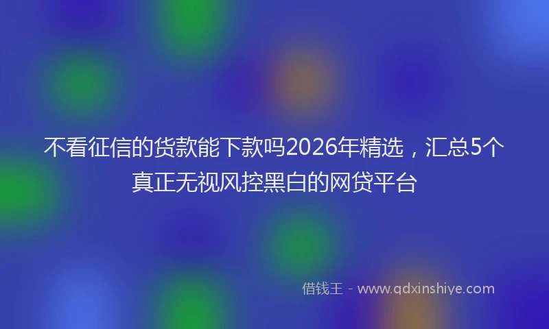 不看征信的货款能下款吗2026年精选，汇总5个真正无视风控黑白的网贷平台