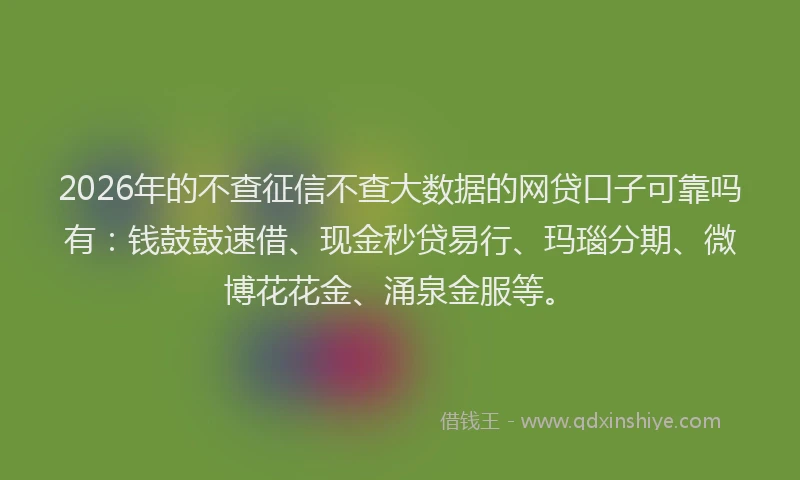 2026年的不查征信不查大数据的网贷口子可靠吗有：钱鼓鼓速借、现金秒贷易行、玛瑙分期、微博花花金、涌泉金服等。
