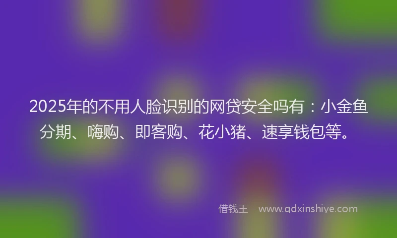 2025年的不用人脸识别的网贷安全吗有：小金鱼分期、嗨购、即客购、花小猪、速享钱包等。