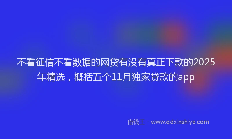 不看征信不看数据的网贷有没有真正下款的2025年精选，概括五个11月独家贷款的app