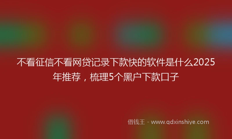 不看征信不看网贷记录下款快的软件是什么2025年推荐，梳理5个黑户下款口子