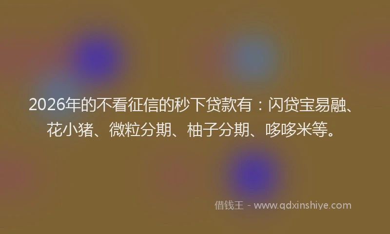2026年的不看征信的秒下贷款有:闪贷宝易融、花小猪、微粒分期、柚子分期、哆哆米等。