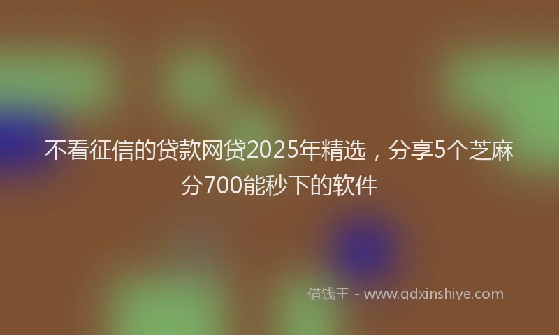 不看征信的贷款网贷2025年精选，分享5个芝麻分700能秒下的软件